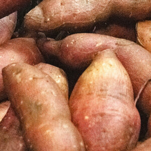 Patates douces bio